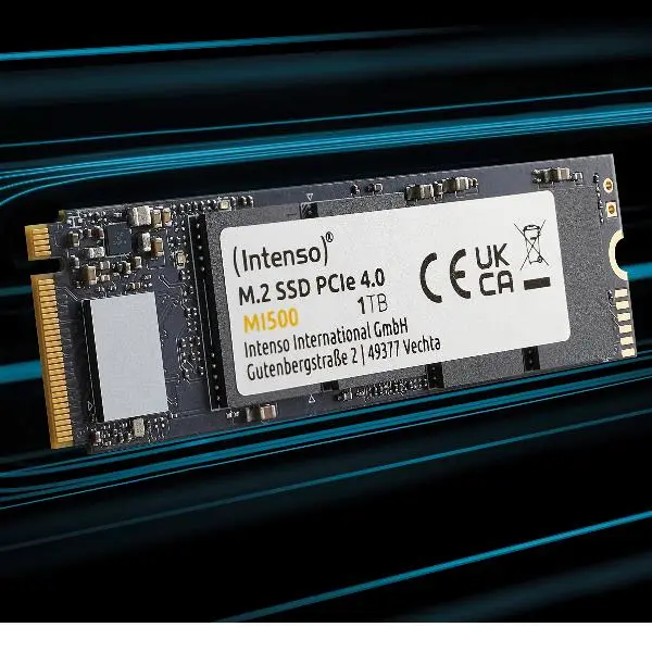 INTENSO SSD 1 TB M.2 PCIe 4.0 MI500