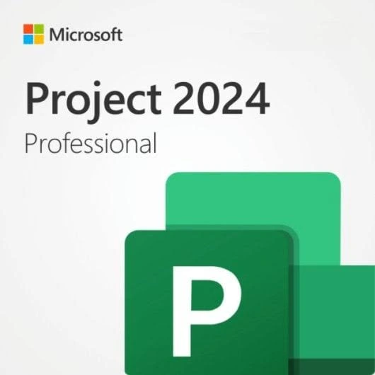 Microsoft Project 2024 Professional (PC)